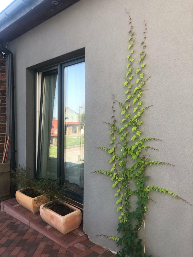 Flores Apartament 卡托维兹 外观 照片